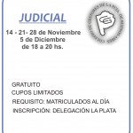 Curso Judicial