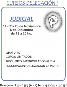 Curso Judicial